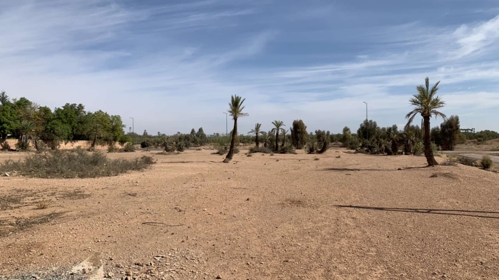 Vente,Terrains & Fermes,Lot de terrain d’angle dans la Palmeraie bien situé ,Marrakech,Palmeraie