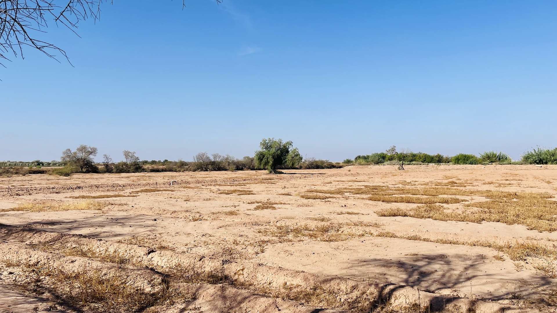 Vente,Terrains & Fermes,Lot de 5Ha sur la route d'Agadir à proximité de l'accès autoroute.,Marrakech,Route d’Agadir