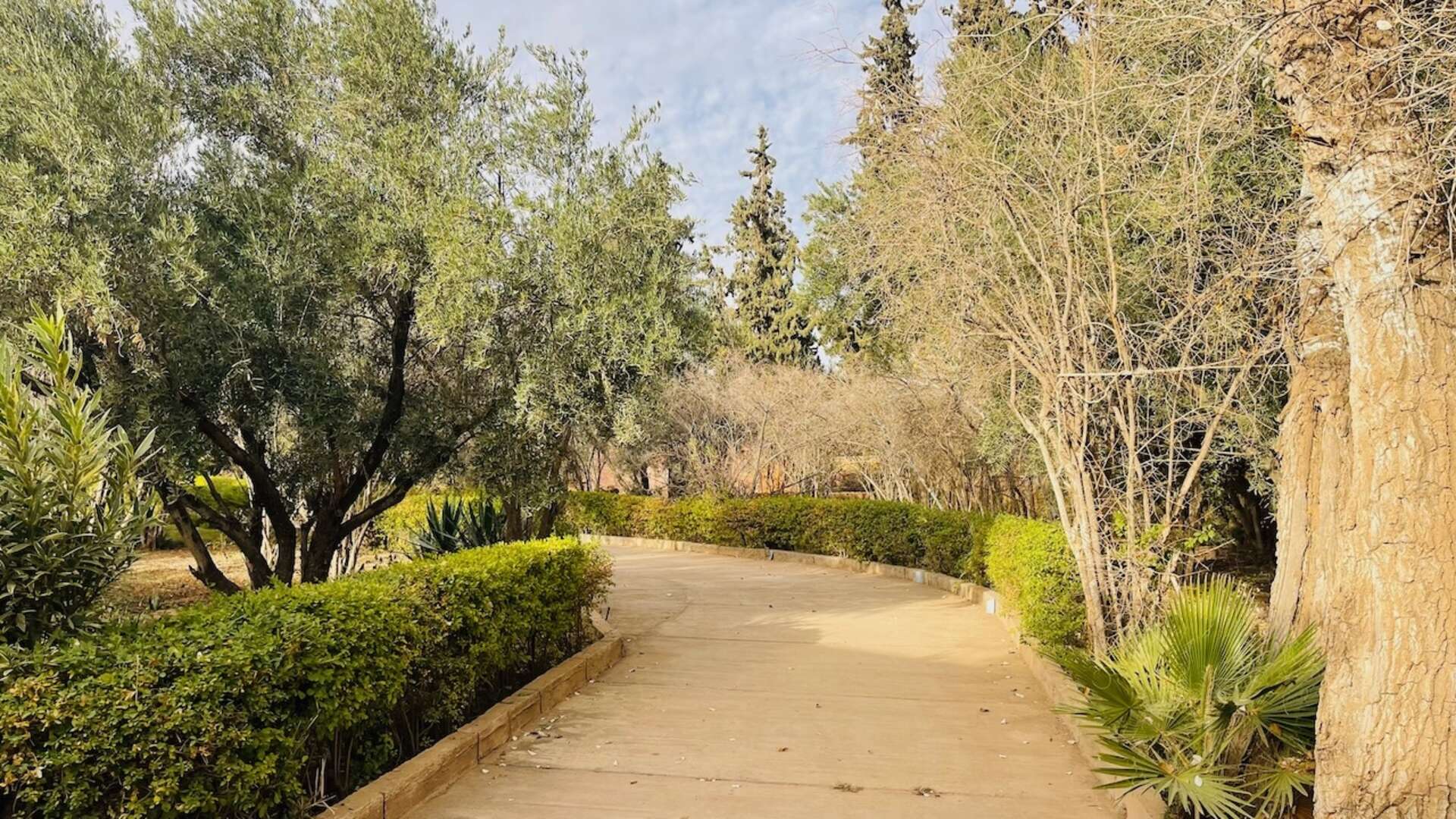 Vente,Villa,À Vendre : Propriété de Prestige à Marrakech – Idéale pour Maison d’Hôtes ou Investissement locatif,Marrakech,Route d'Ouarzazate