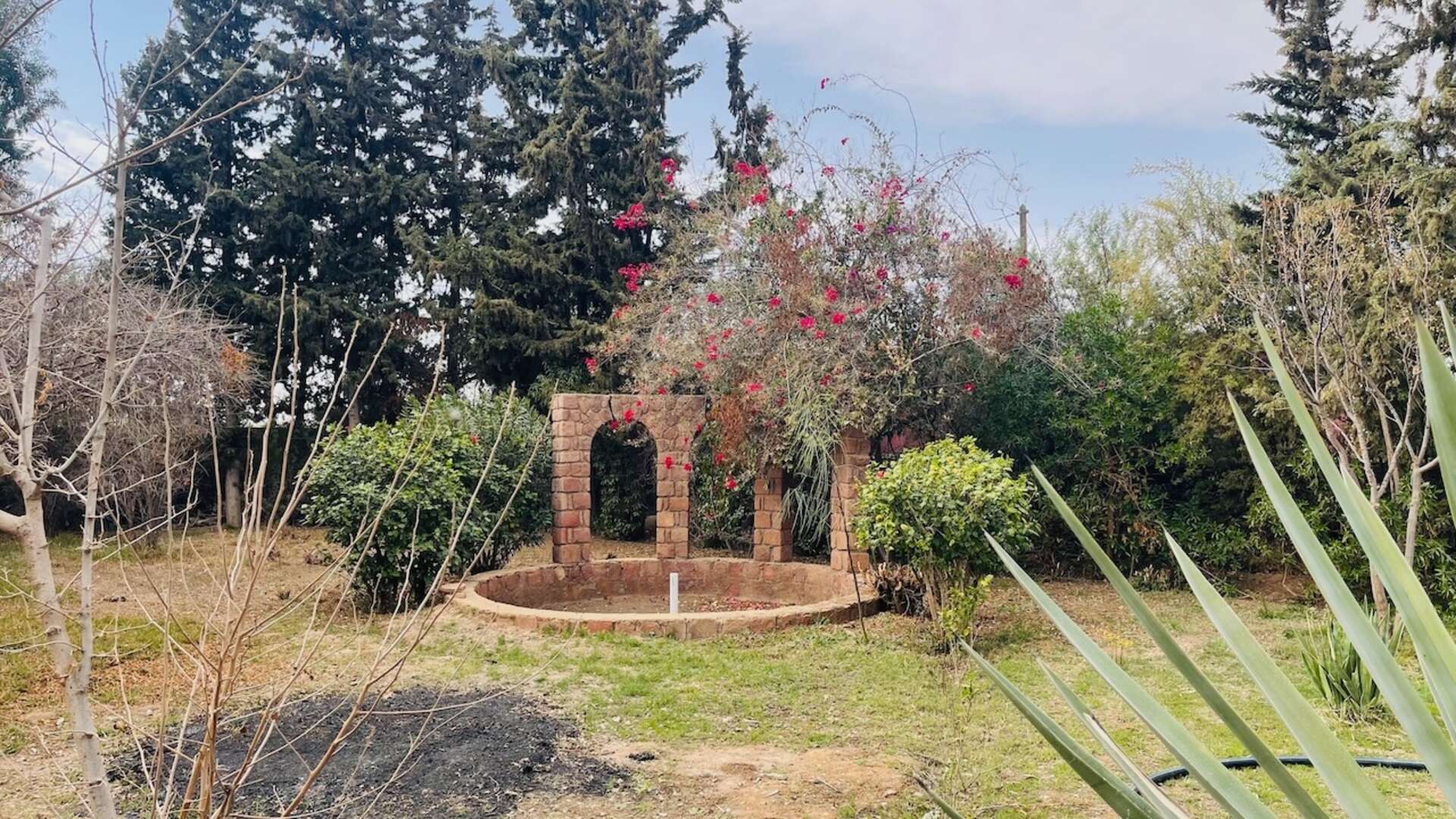 Vente,Villa,À Vendre : Propriété de Prestige à Marrakech – Idéale pour Maison d’Hôtes ou Investissement locatif,Marrakech,Route d'Ouarzazate