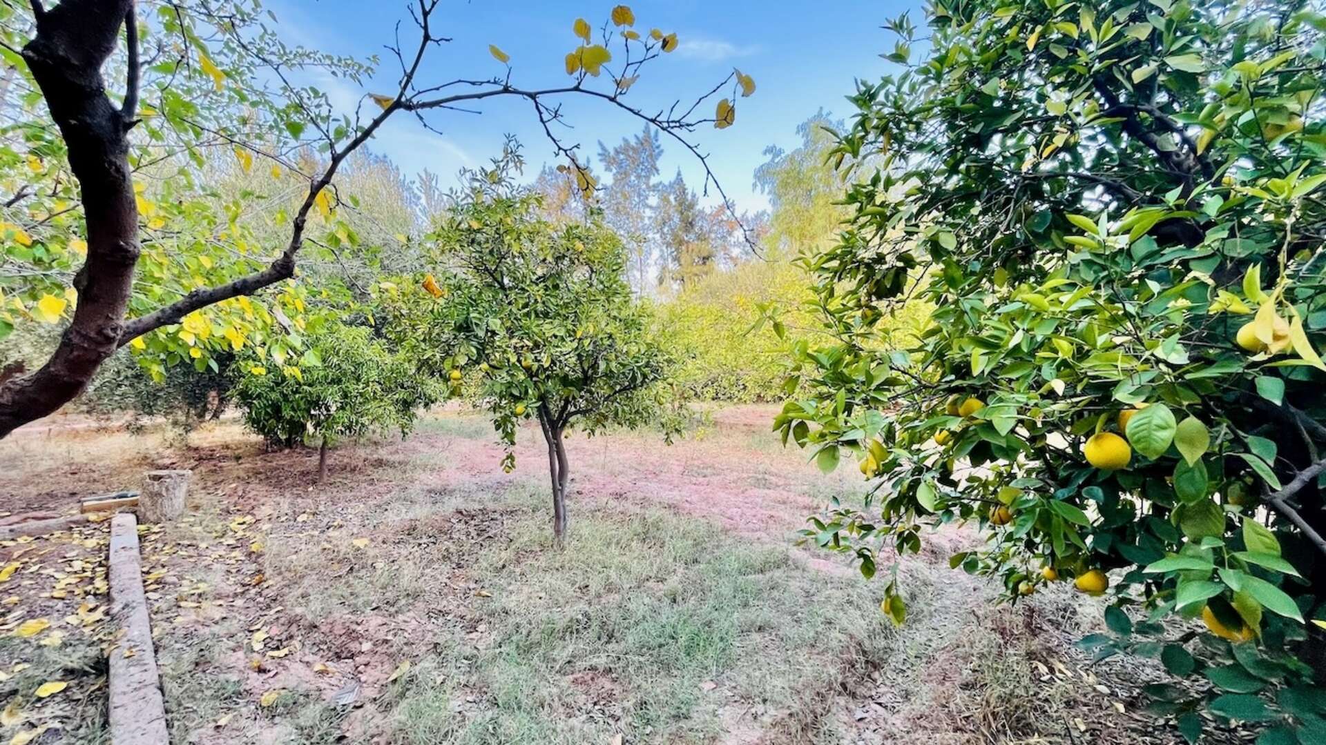 Vente,Villa,À Vendre : Propriété de charme – Route de Fès, Marrakech,Marrakech,Route de Fès