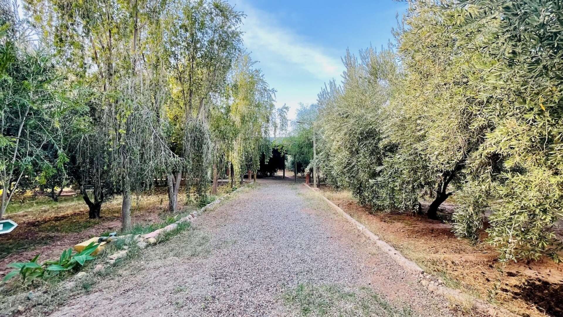 Vente,Villa,À Vendre : Propriété de charme – Route de Fès, Marrakech,Marrakech,Route de Fès