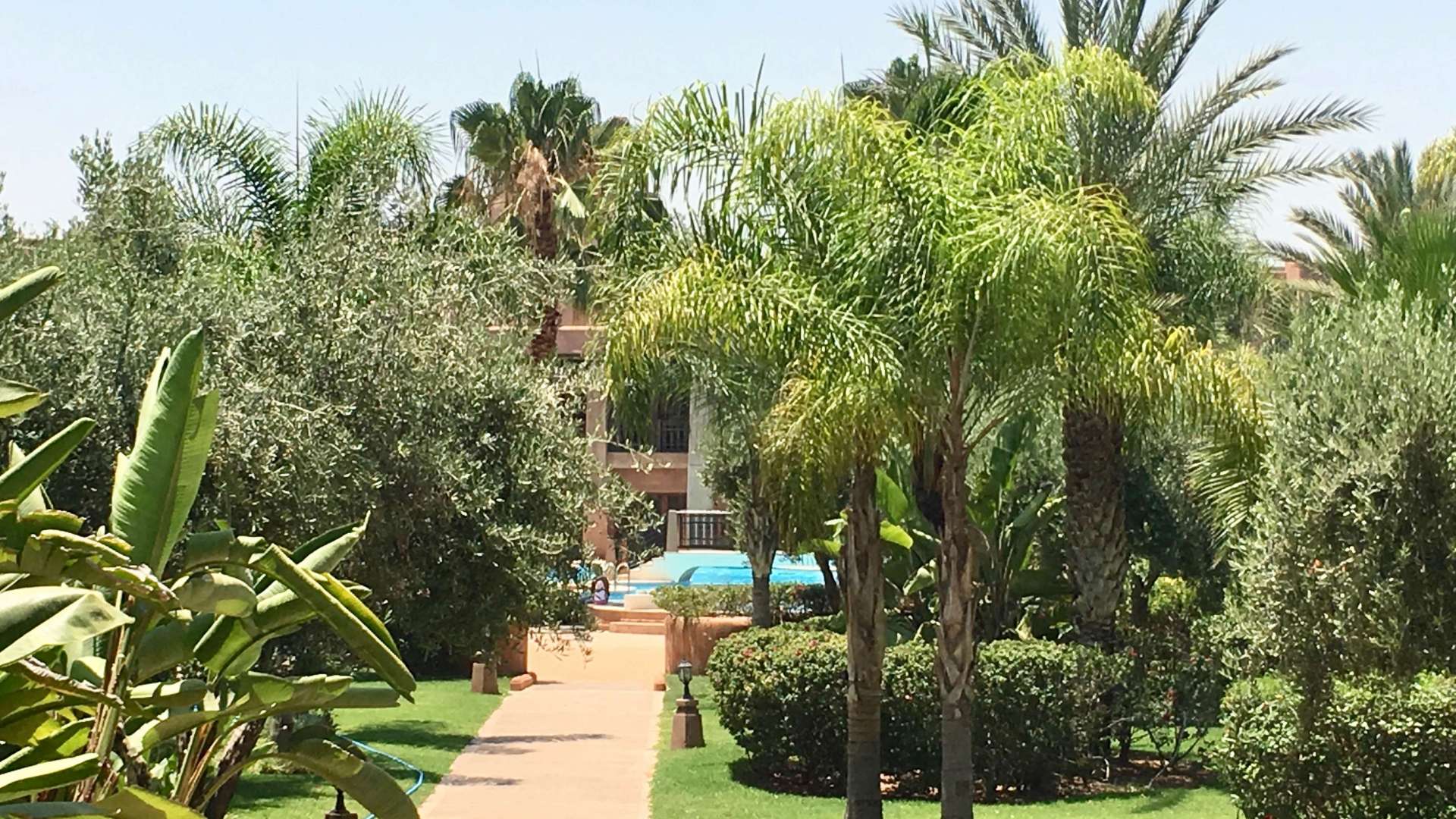 Vente,Appartement,Vente Appartement 2 chambres en rez-de-jardin dans une belle residence avec piscine et jardin Agdal Marrakech,Marrakech,Agdal