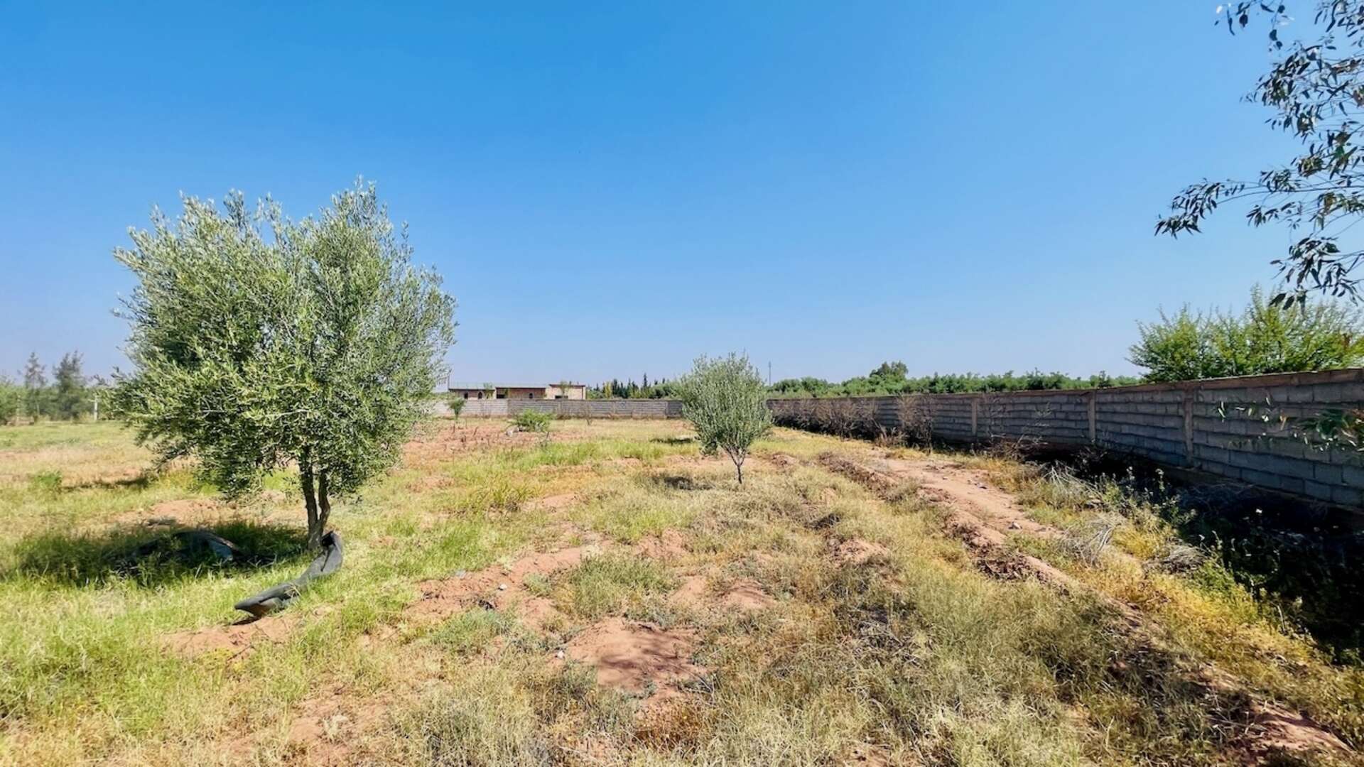 Vente,Terrains & Fermes,À Vendre – Terrain d’1 Hectare Clôturé avec Infrastructures – Route de Fès, Marrakech,Marrakech,Route de Fès