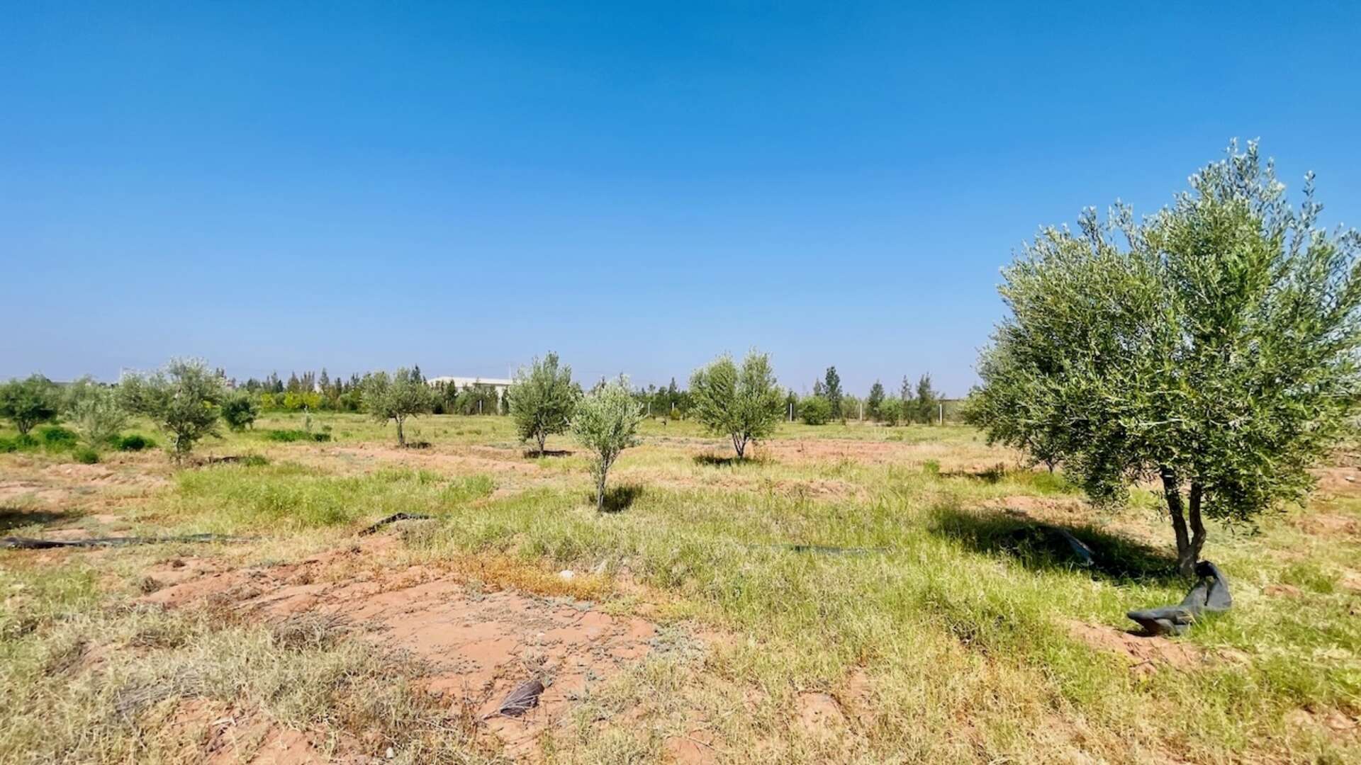 Vente,Terrains & Fermes,À Vendre – Terrain d’1 Hectare Clôturé avec Infrastructures – Route de Fès, Marrakech,Marrakech,Route de Fès