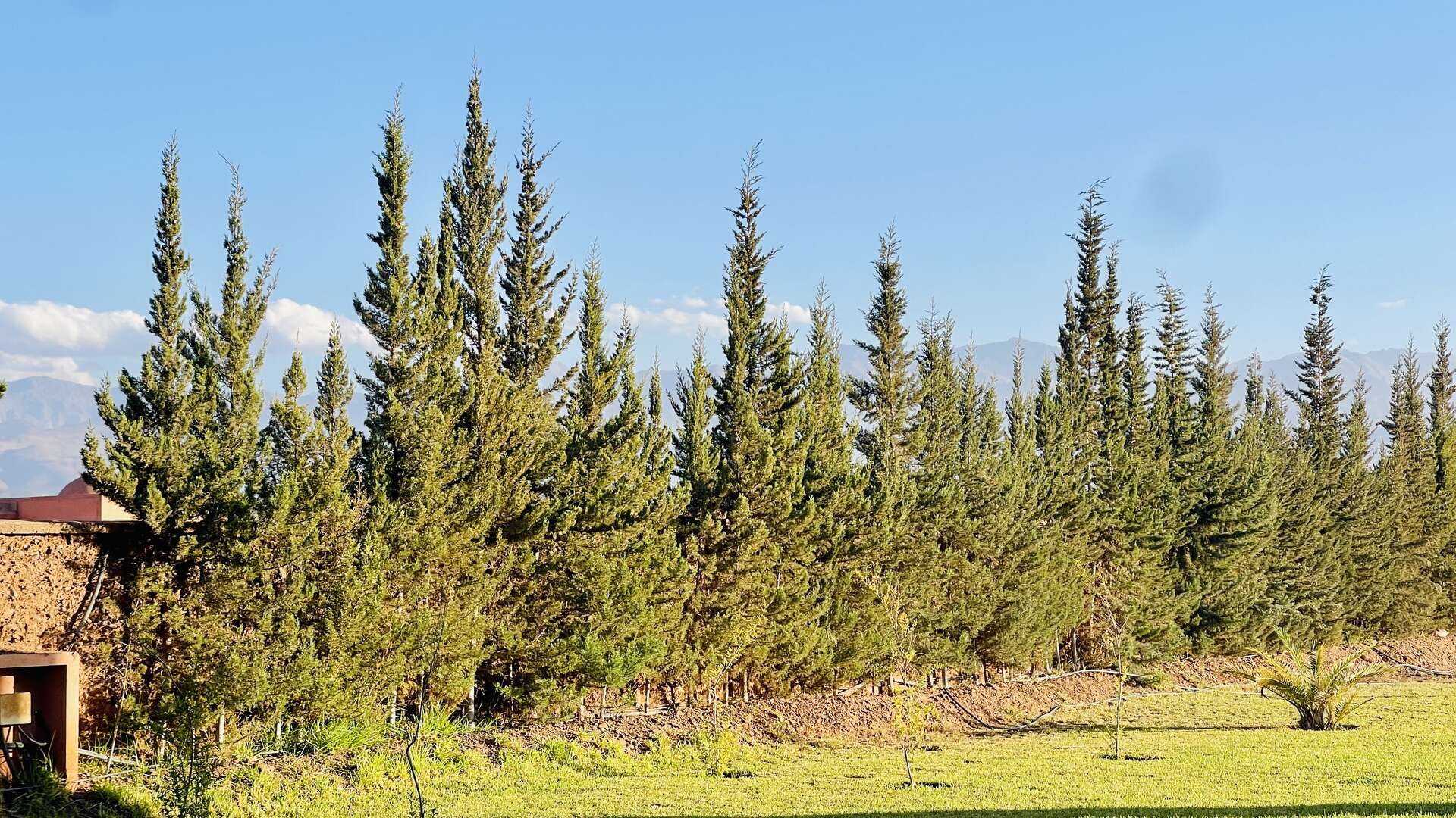 Location de vacances,Villa,Villa Majestic Atlas 6ch Marrakech,Marrakech,Route de l'Ourika