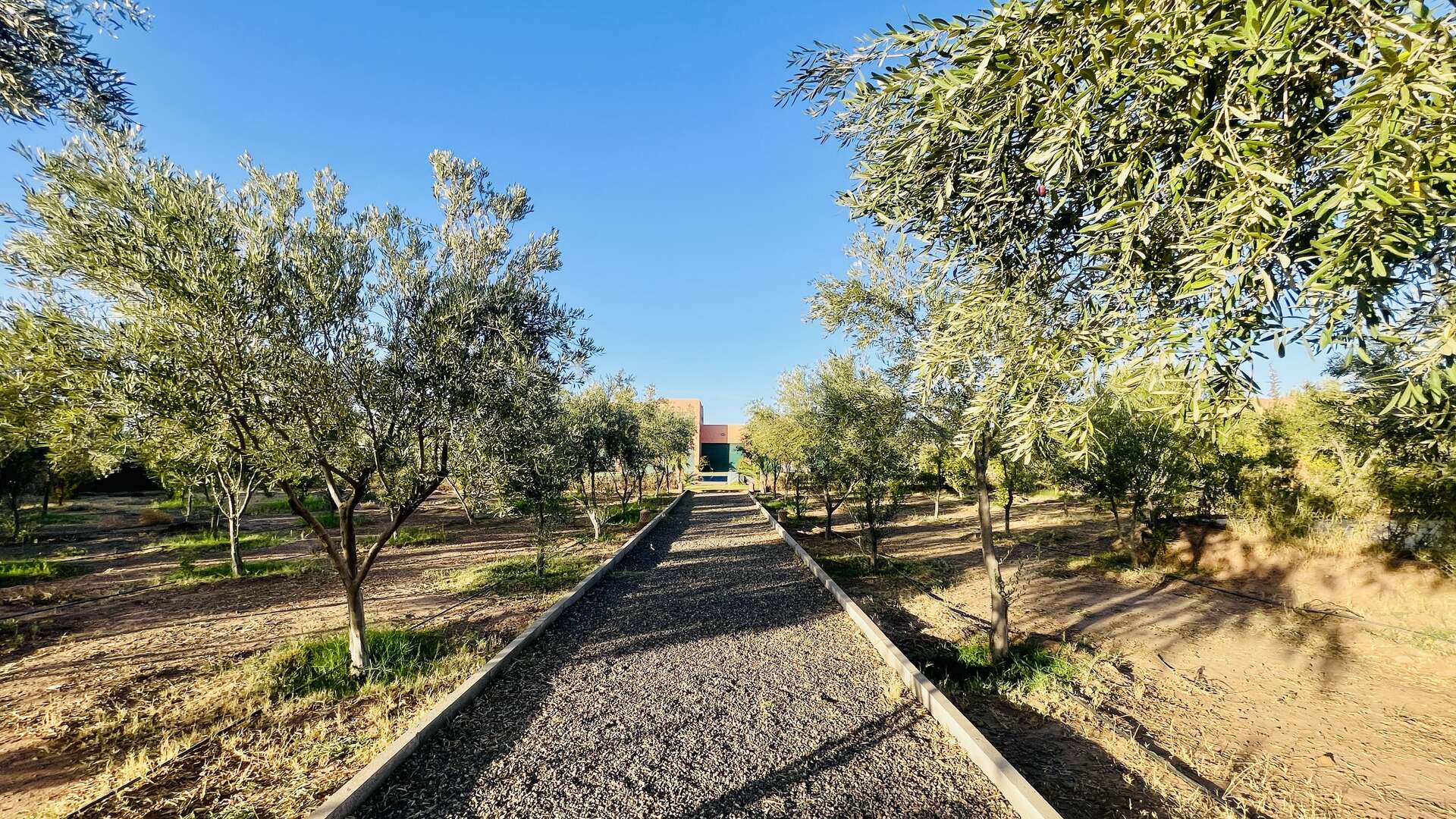 Location de vacances,Villa,Villa Majestic Atlas 6ch Marrakech,Marrakech,Route de l'Ourika