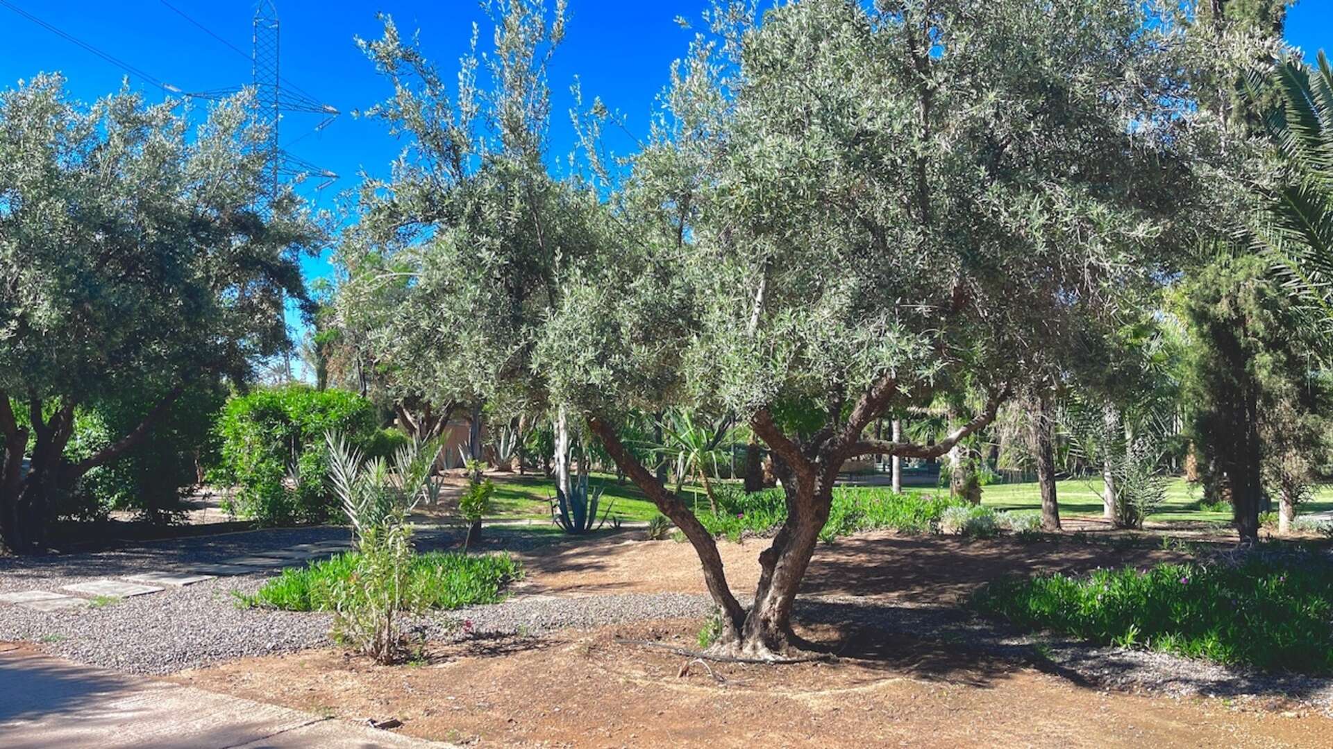 Location de vacances,Villa,Propriété privée de 6 suites avec piscine chauffée sur 1 hectare de jardin ,Marrakech,Bab Atlas