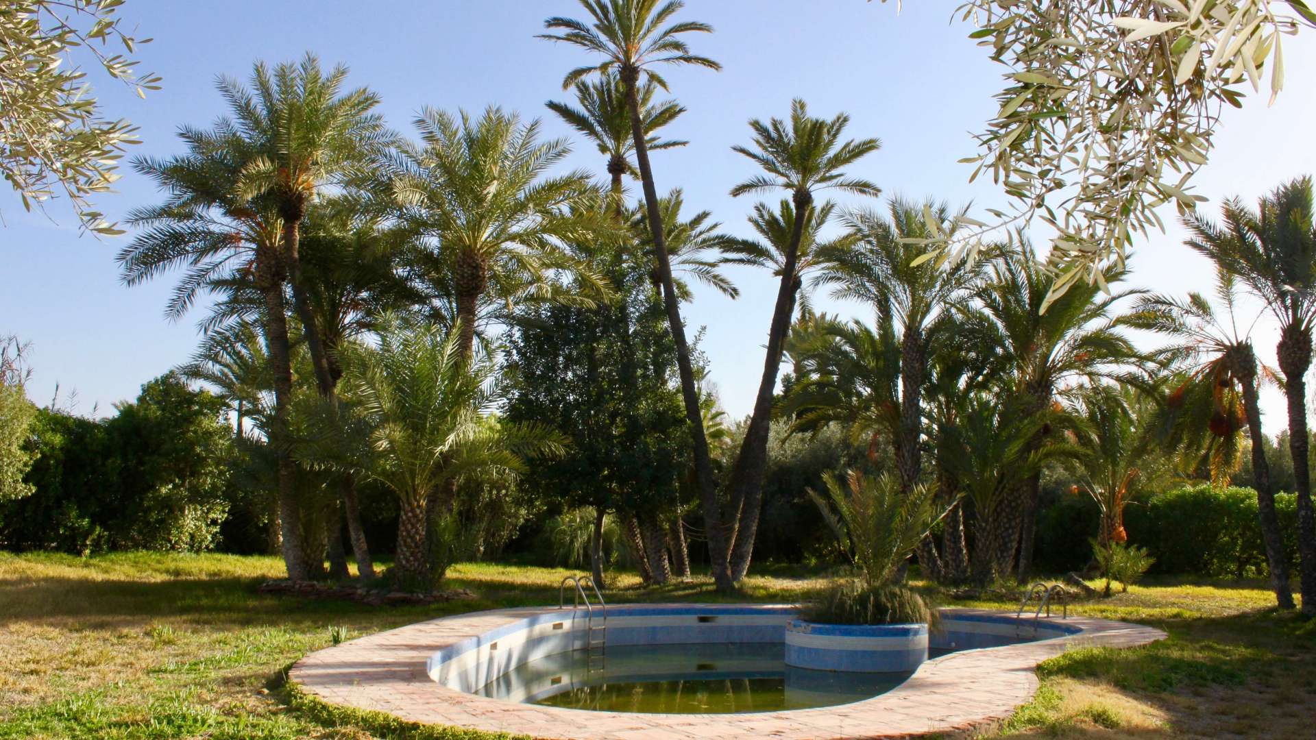 Vente,Villa,Villa 4ch aux jardins de la Palmeraie à Marrakech,Marrakech,Palmeraie