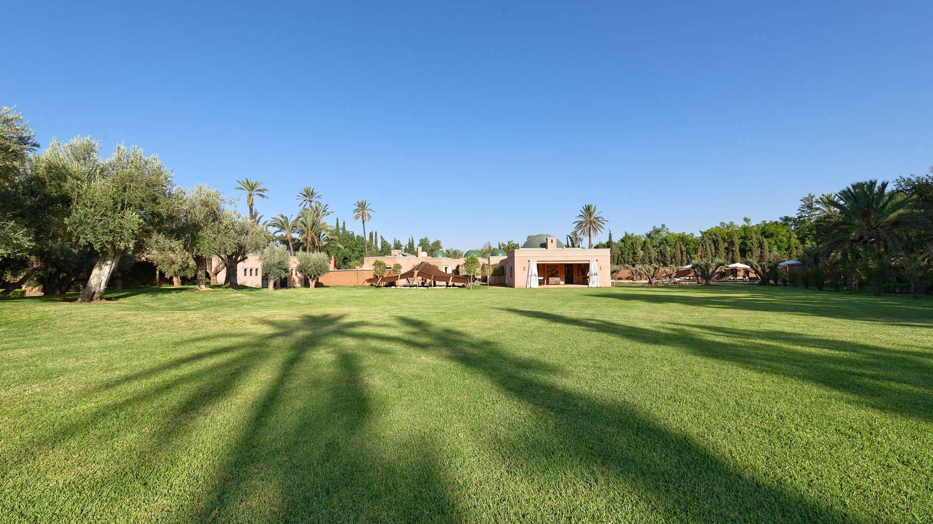 Location de vacances,Villa,Luxueuse villa de 3 ch dans un cadre exceptionnel à la Palmeraie de Marrakech,Marrakech,Palmeraie