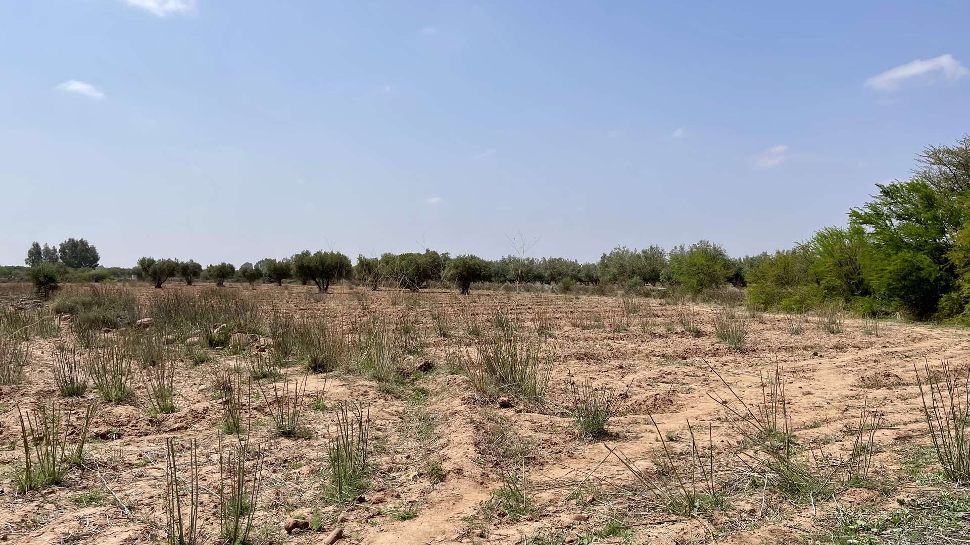 Vente,Terrains & Fermes,Lot de terrain titré 4 ha à Ghmate 28km du centre de Marrakech,Marrakech,Route de l'Ourika
