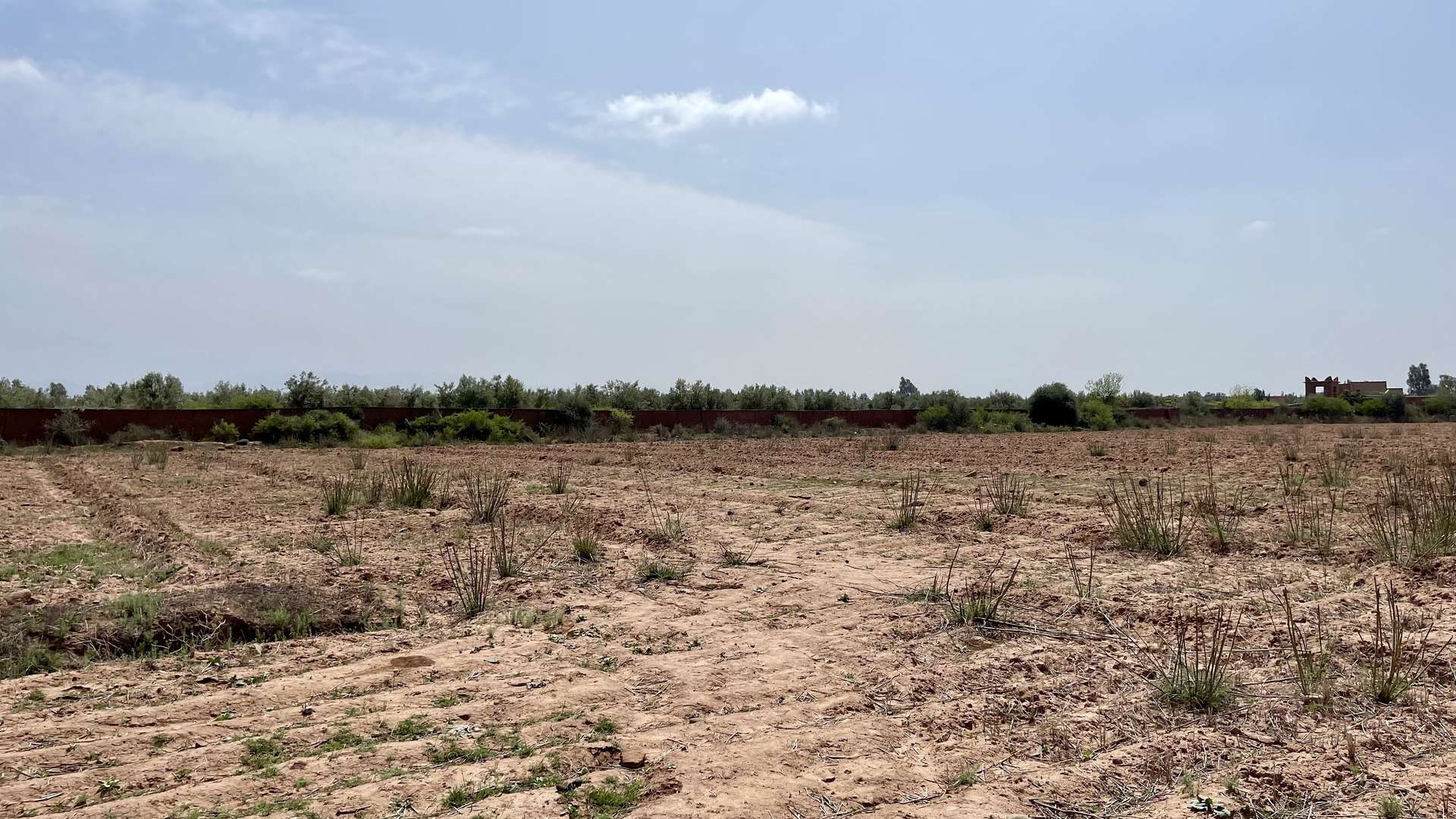 Vente,Terrains & Fermes,Lot de terrain titré 4 ha à Ghmate 28km du centre de Marrakech,Marrakech,Route de l'Ourika